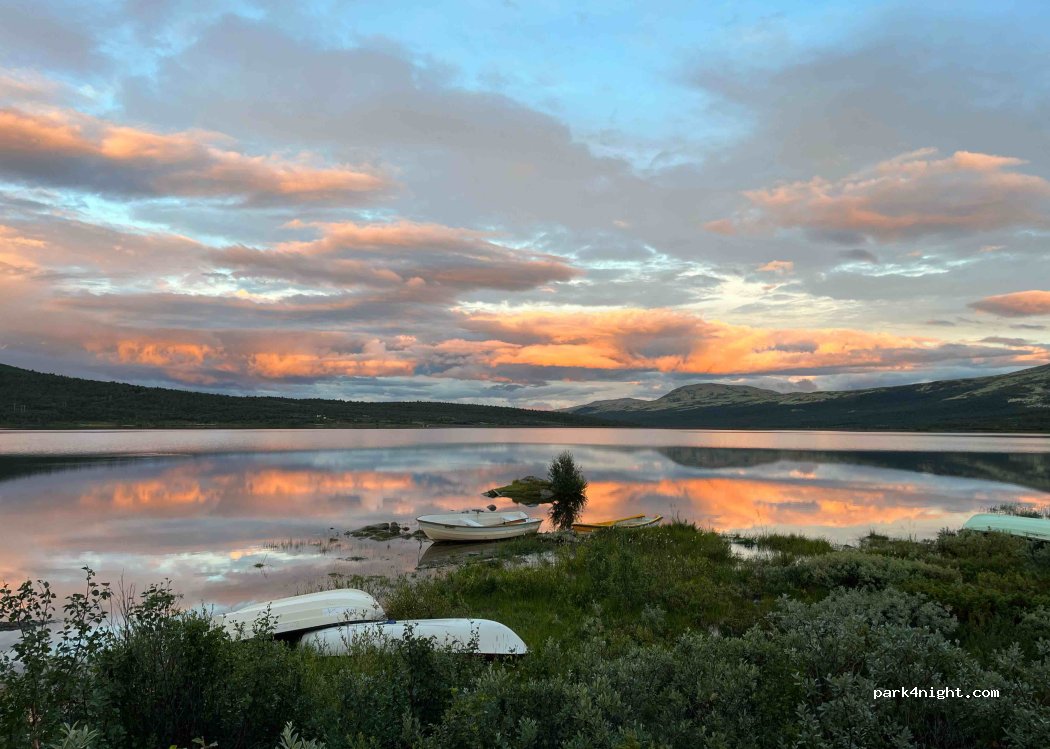 (2661) Hjerkinn - — foto 2