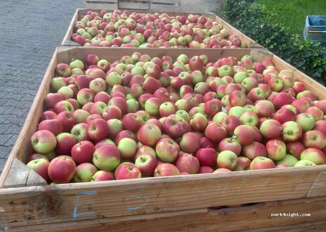 Obstbau Hamm — foto 2