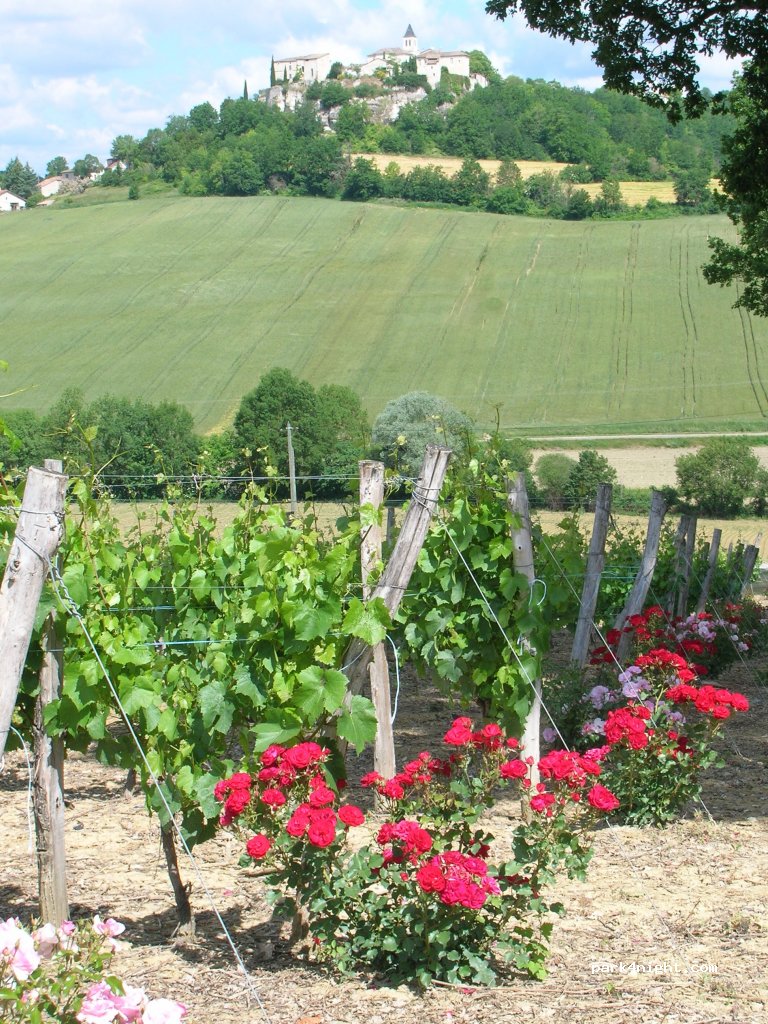 Domaine de Cauquelle — foto