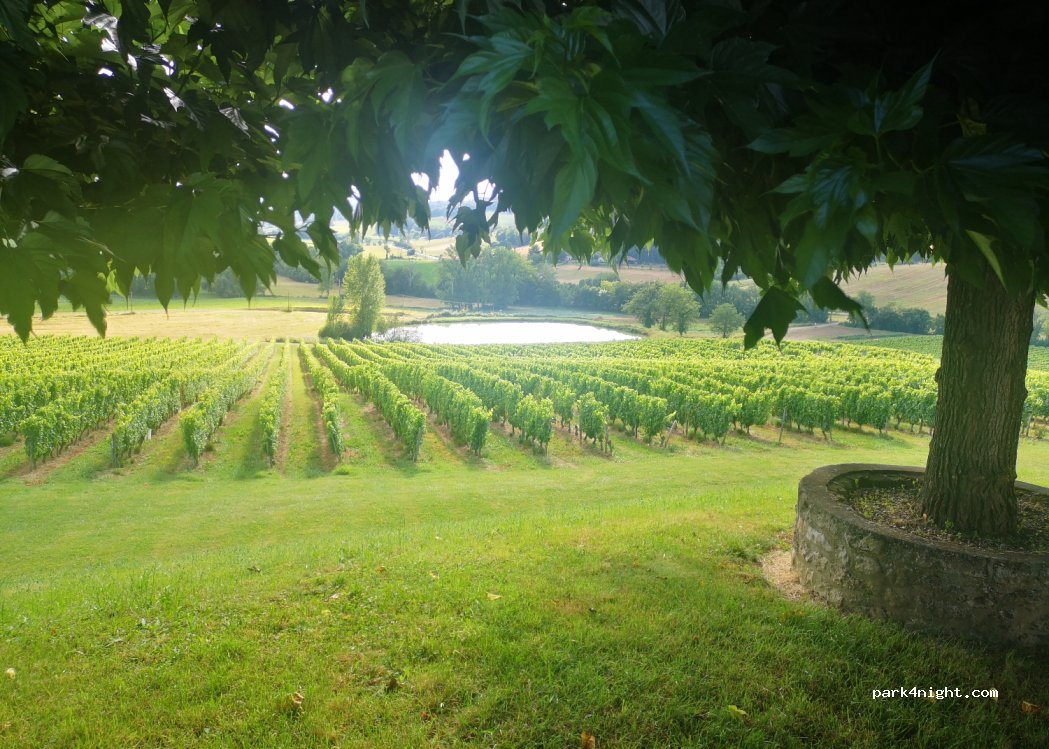 Domaine de Cauquelle — foto 3