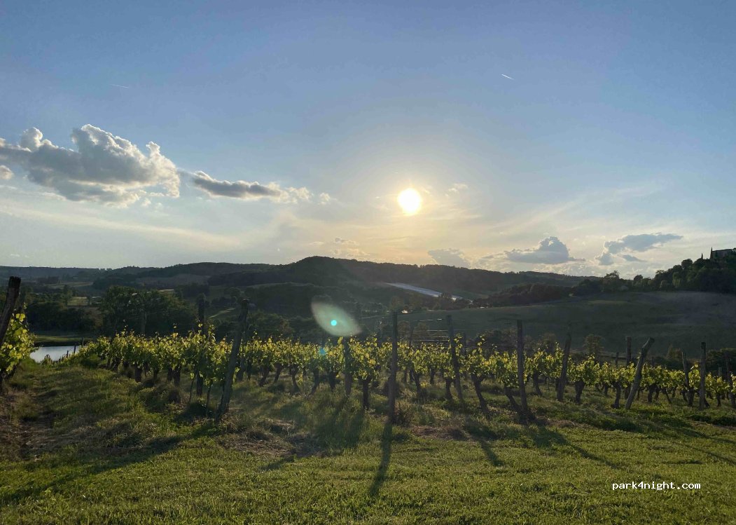 Domaine de Cauquelle — foto 4