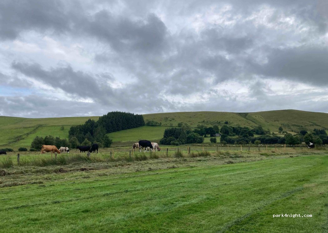 Camping at Glangwyn Farm — foto