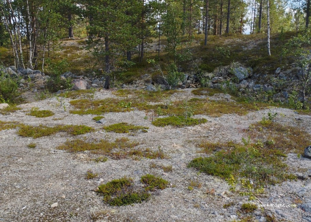 (99400) Leppäjärvi - 761 Ruijantie — foto 3