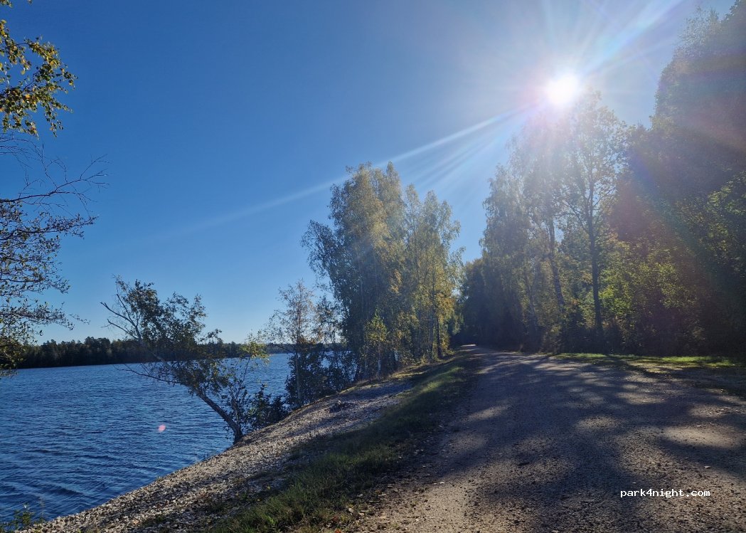 (662 95) Ånimskog - Unnamed Road — foto 4