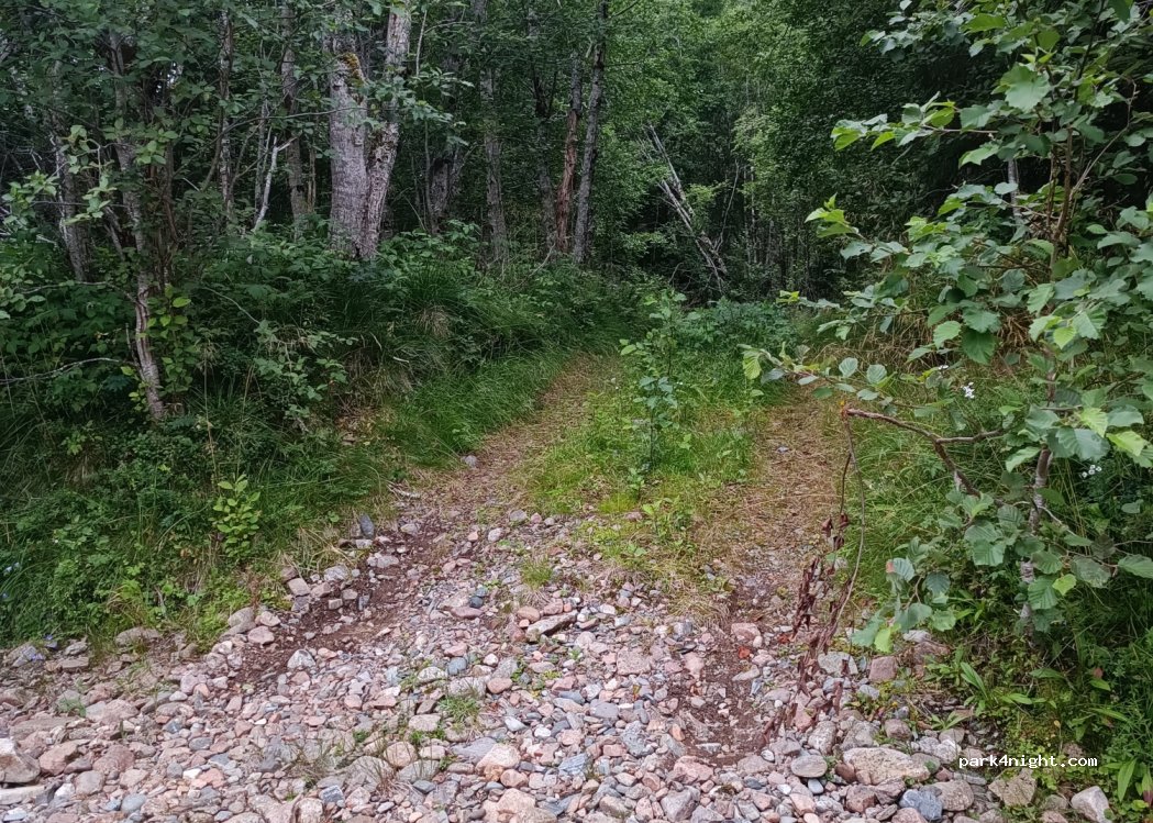 (7207) Snillfjord - Unnamed Road — foto 2