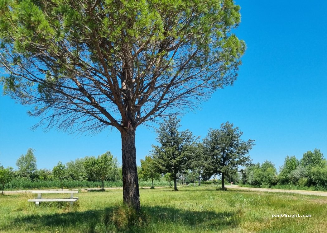 (13104) Arles - Route de Port Saint-Louis du Rhône — foto 2
