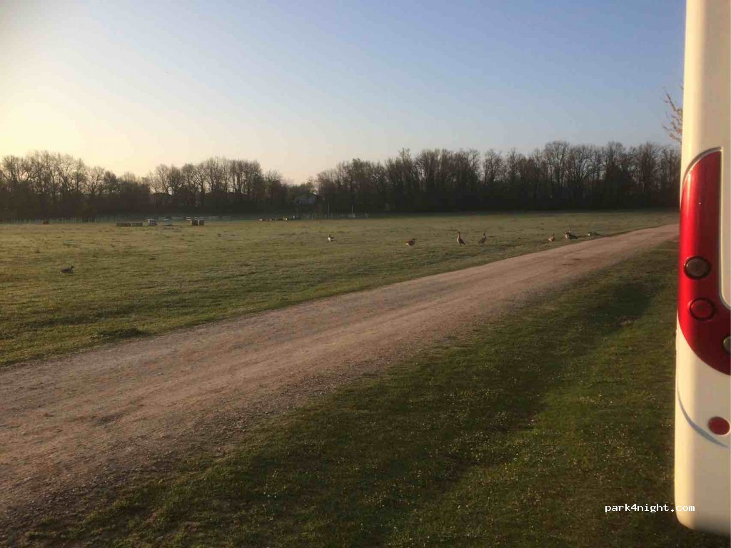 (82300) Monteils - 383 Chemin des Lacs — foto 2