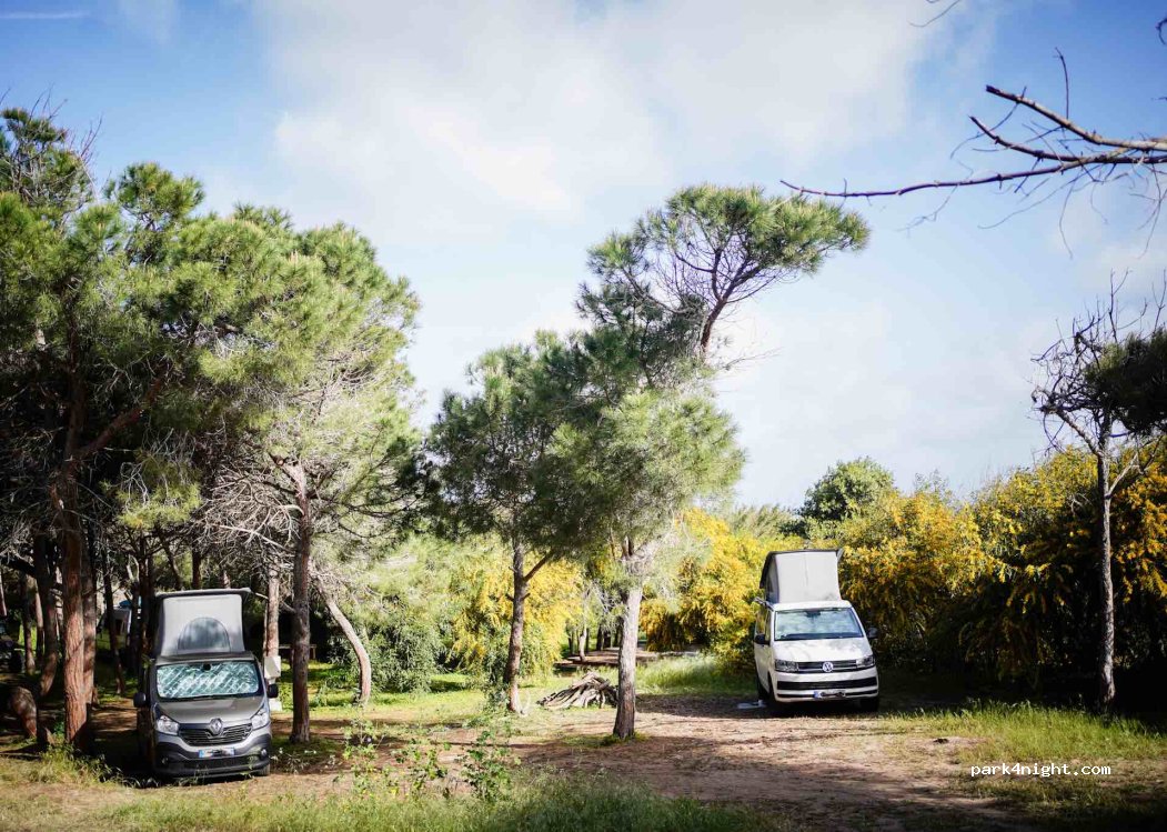 Camping Nurapolis — foto 3