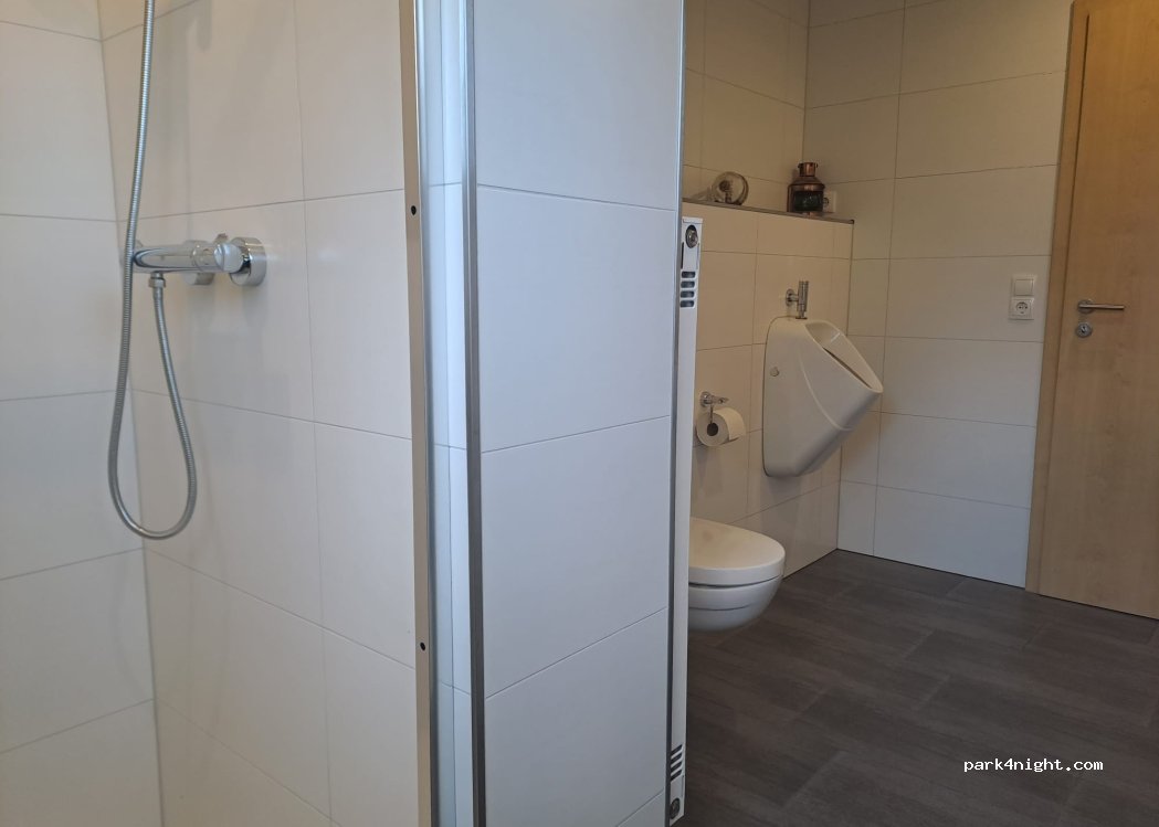 Kleine Weide unter Bäumen — foto 2