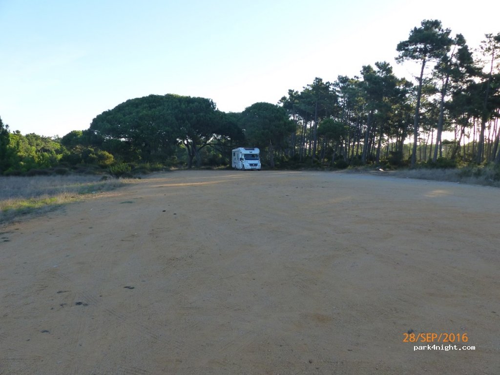 (2970) ALFARIM - 121 EM561 — foto