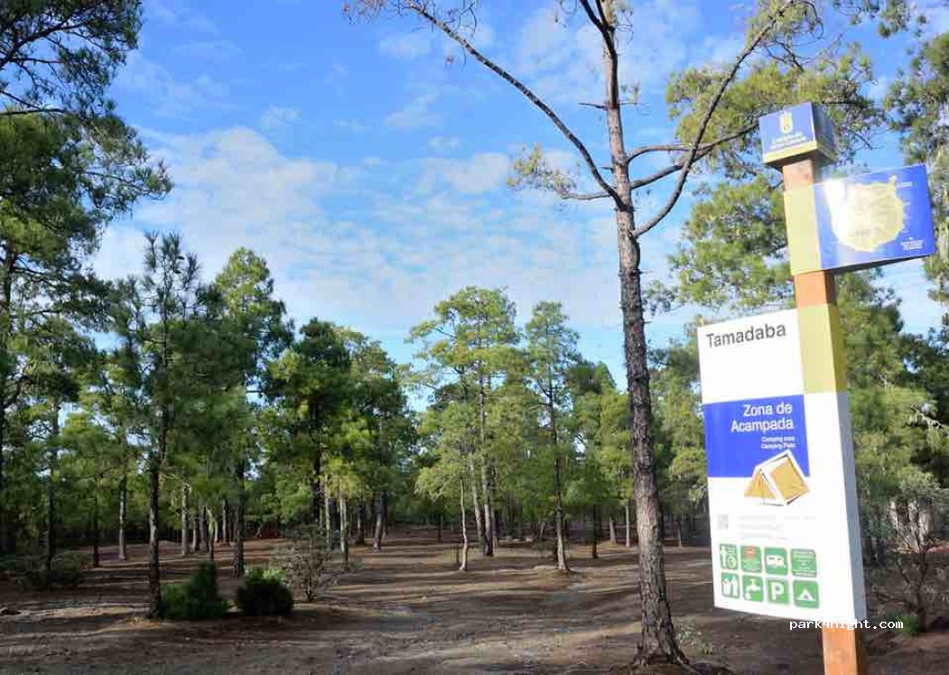 Área recreativa Tamadaba — foto