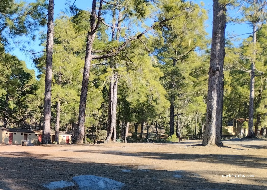 Área recreativa Tamadaba — foto 2