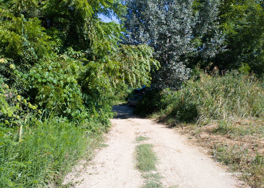 (10022) Carmagnola - — foto