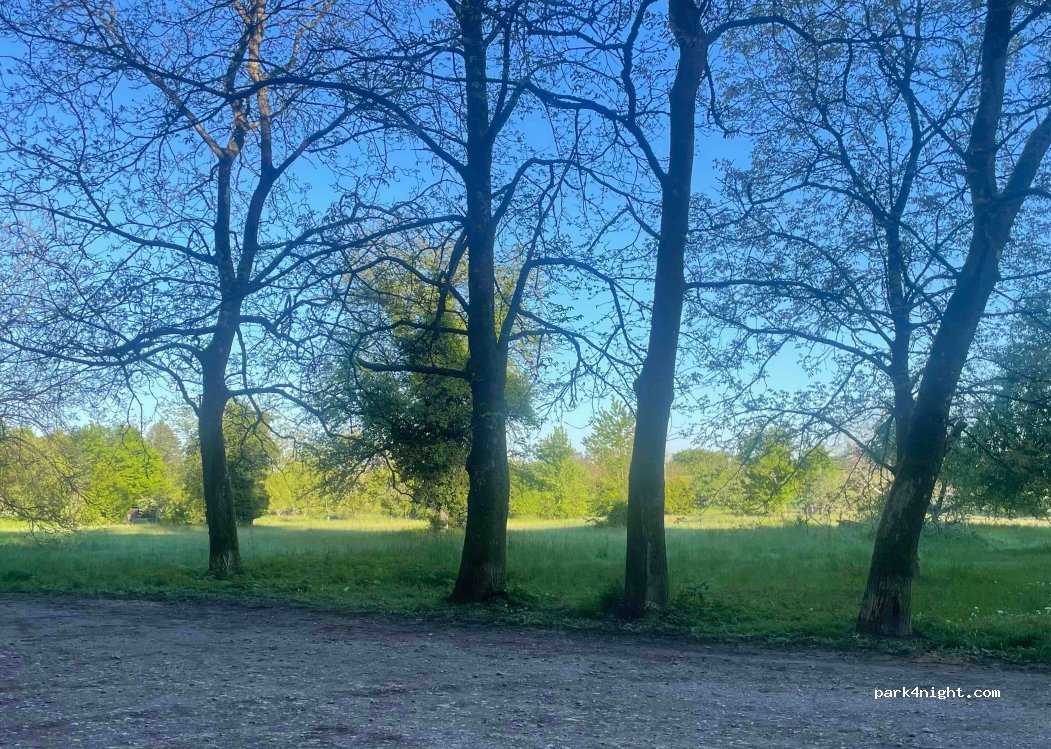 (76461) Muggensturm - — foto 5