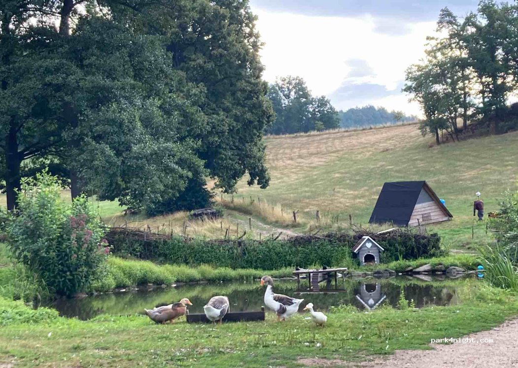 Biohof / Organic Farm, Camping — foto