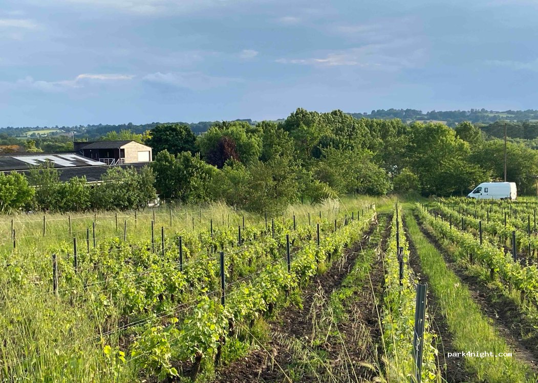 Domaine des Coteaux Blancs — foto 2