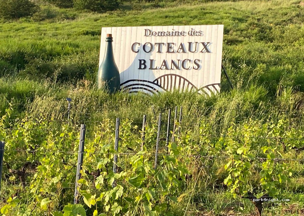 Domaine des Coteaux Blancs — foto 3
