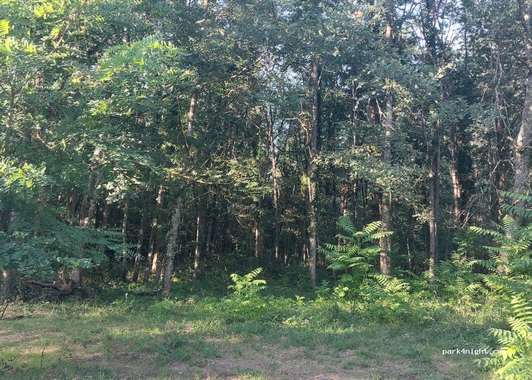 (09330) Montgailhard - Chemin du Pujal — foto