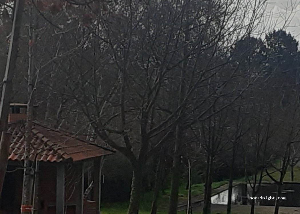 (5460) Sapiãos - Bairro Tornadouro — foto 5