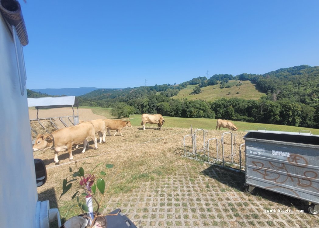 (1170) Aubonne - 51 Chemin de Plan — foto 3