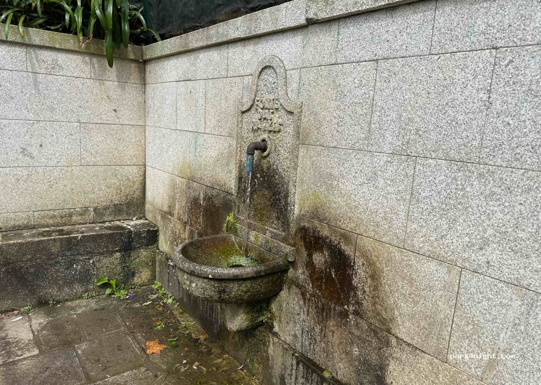 (4740-595) Palmeira de Faro - 49 Rua dos Cucos — foto
