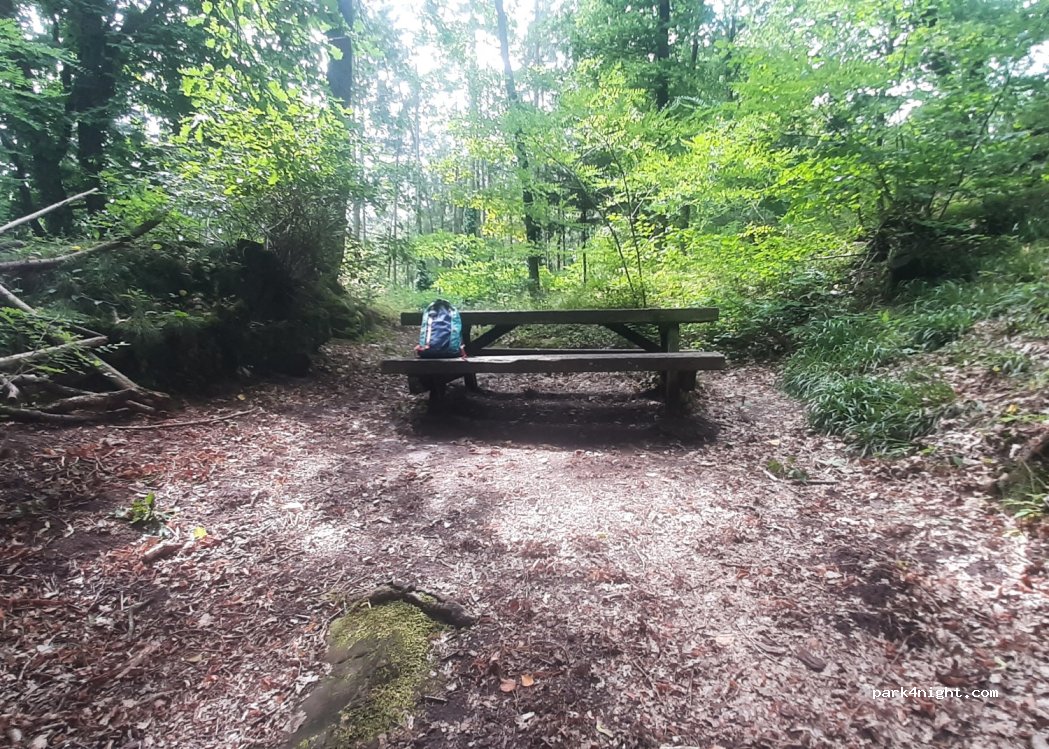 (68340) Riquewihr - 2 Chemin de la Forêt — foto