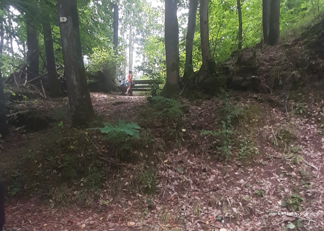 (68340) Riquewihr - 2 Chemin de la Forêt — foto 2