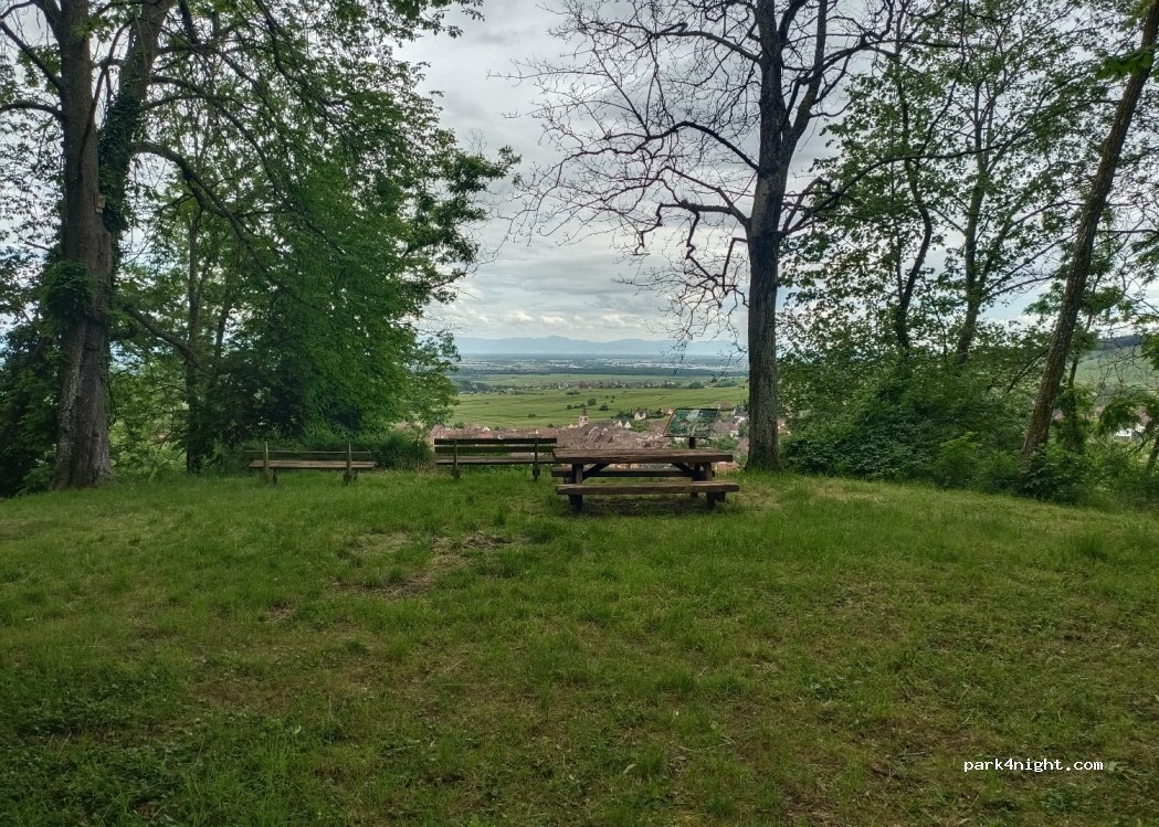 (68340) Riquewihr - 2 Chemin de la Forêt — foto 3