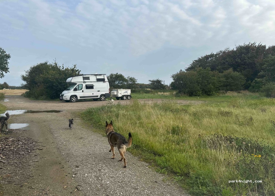 (9800) Hjørring - 173 Ulvkjærvej — foto 2