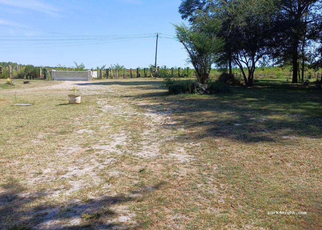 (33430) Cudos - 122 Branna — foto