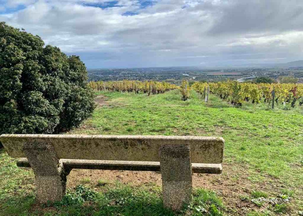 (69480) Pommiers - 498 Allée du Clos de Saint-Trys — foto