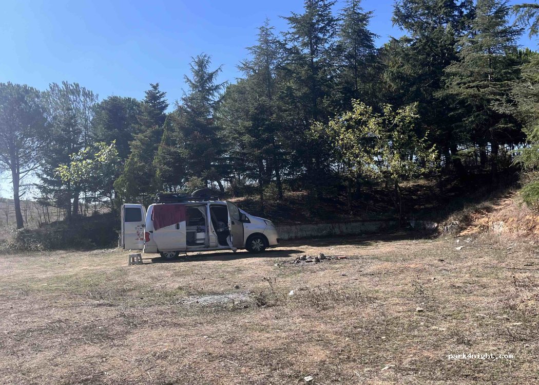 (34916)  - 64 Altıevler Sokak — foto 3