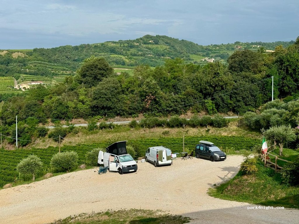 Tenuta Maule (Artisanal Quality Wine Production) — foto 4
