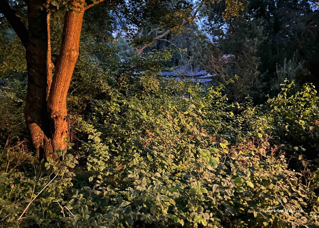 (1411 EK) Naarden - 16 Anna van Burenlaan — foto