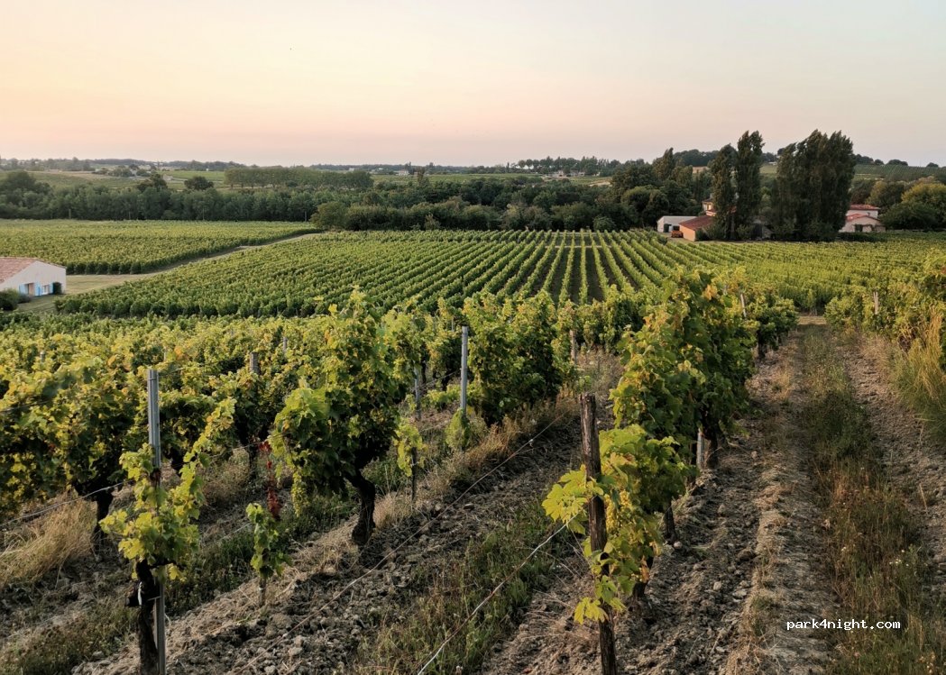 Château Pinet La Roquette (SCEA Vignobles Rodriguez & Co) — foto