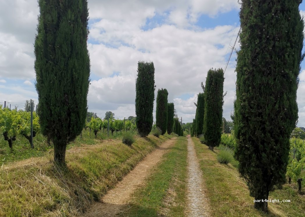 Château Pinet La Roquette (SCEA Vignobles Rodriguez & Co) — foto 3