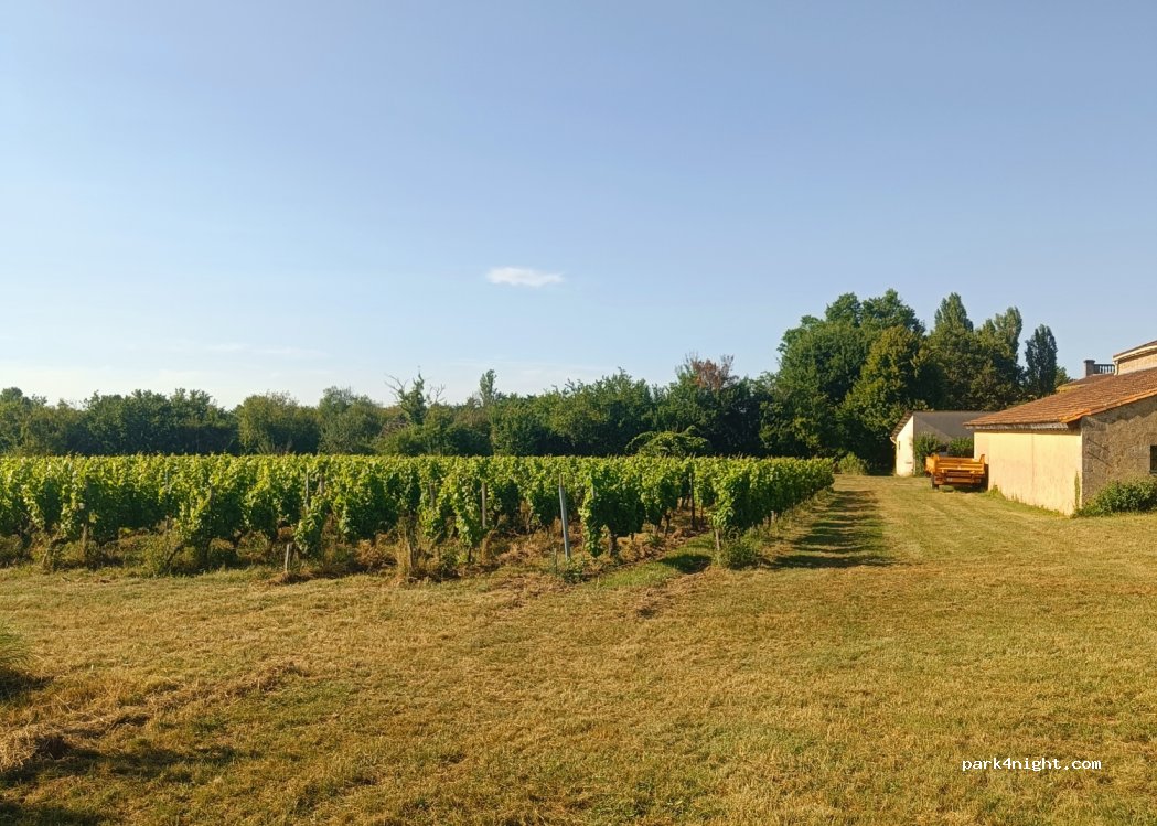 Château Pinet La Roquette (SCEA Vignobles Rodriguez & Co) — foto 4