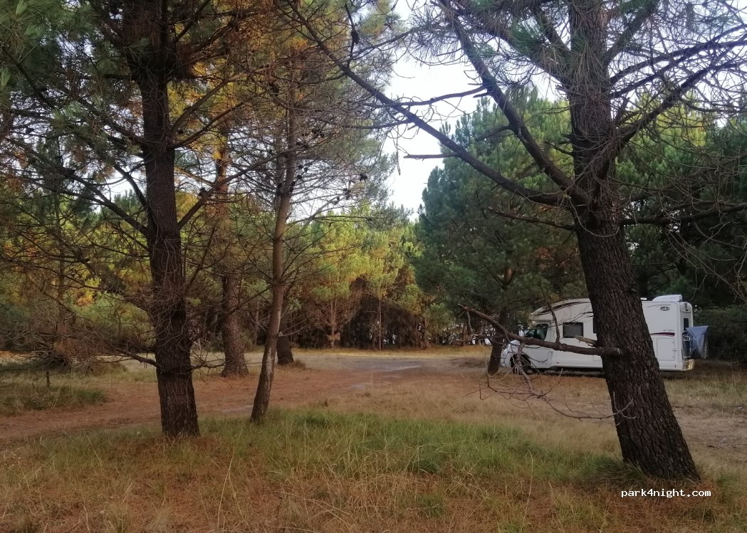 (33459) Fondon - — foto