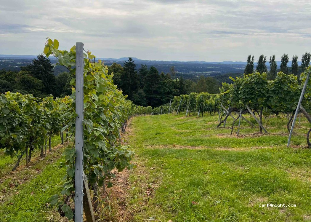 Wein- & Genuss Laden Familie Kleindienst — foto 2
