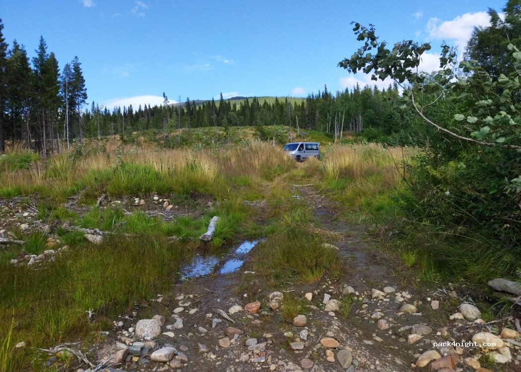 (7870) Formofoss - — foto 2