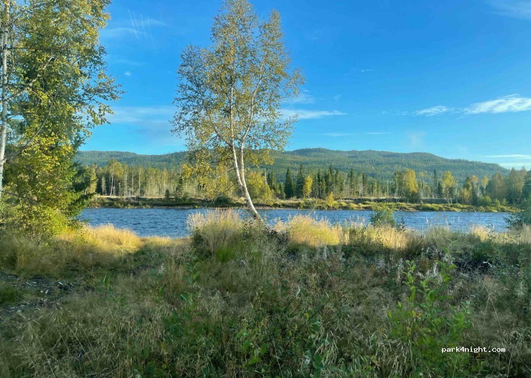 (7870) Formofoss - — foto 4