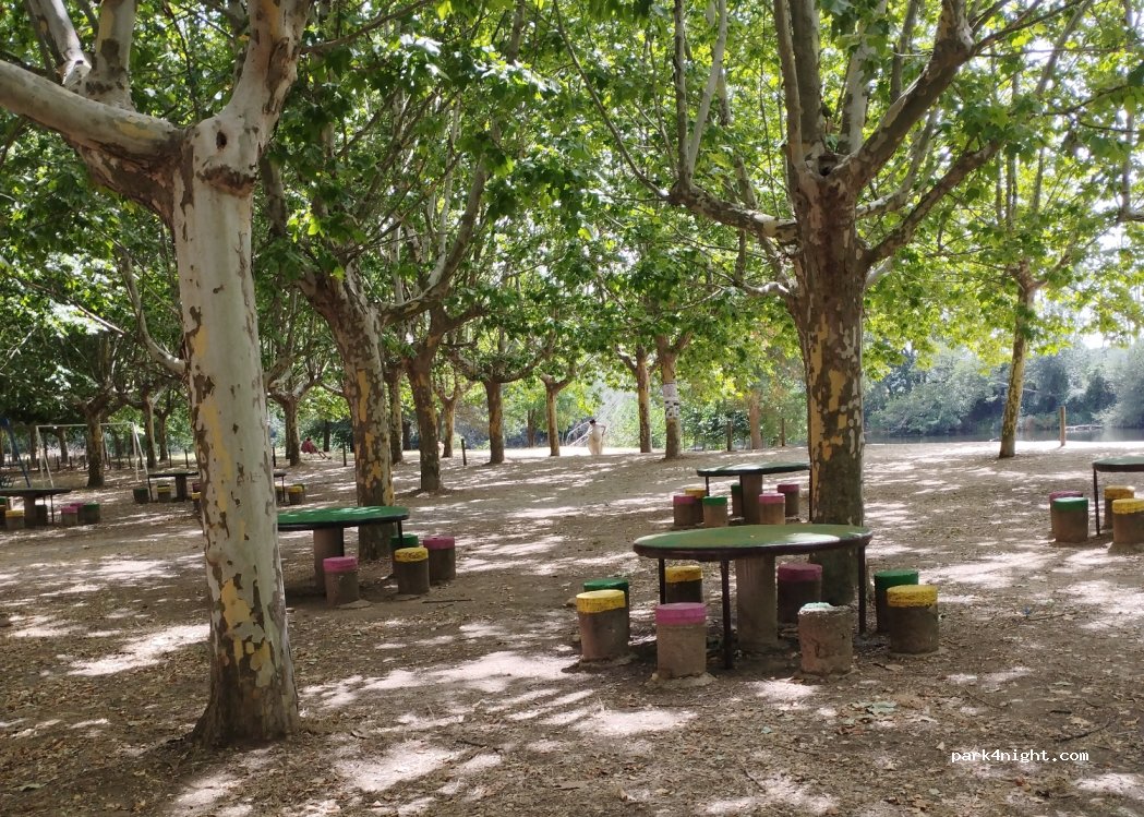 (49624) Micereces de Tera - 5709 Lugar el Tamaral — foto