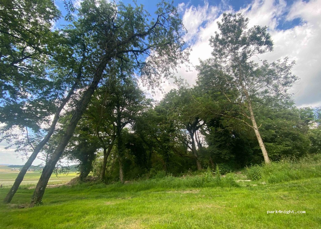 (51260) La Celle-sous-Chantemerle - — foto