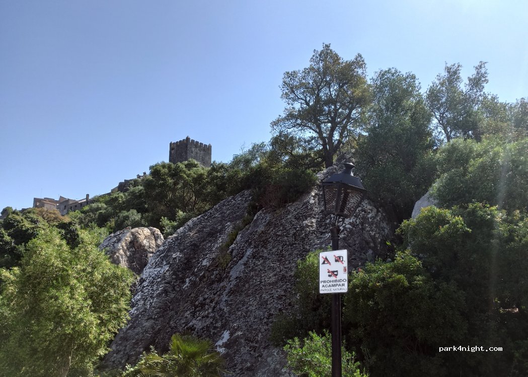 (11350) Castillo de Castellar - 6 Carretera Castillo V Almoraima — foto 3