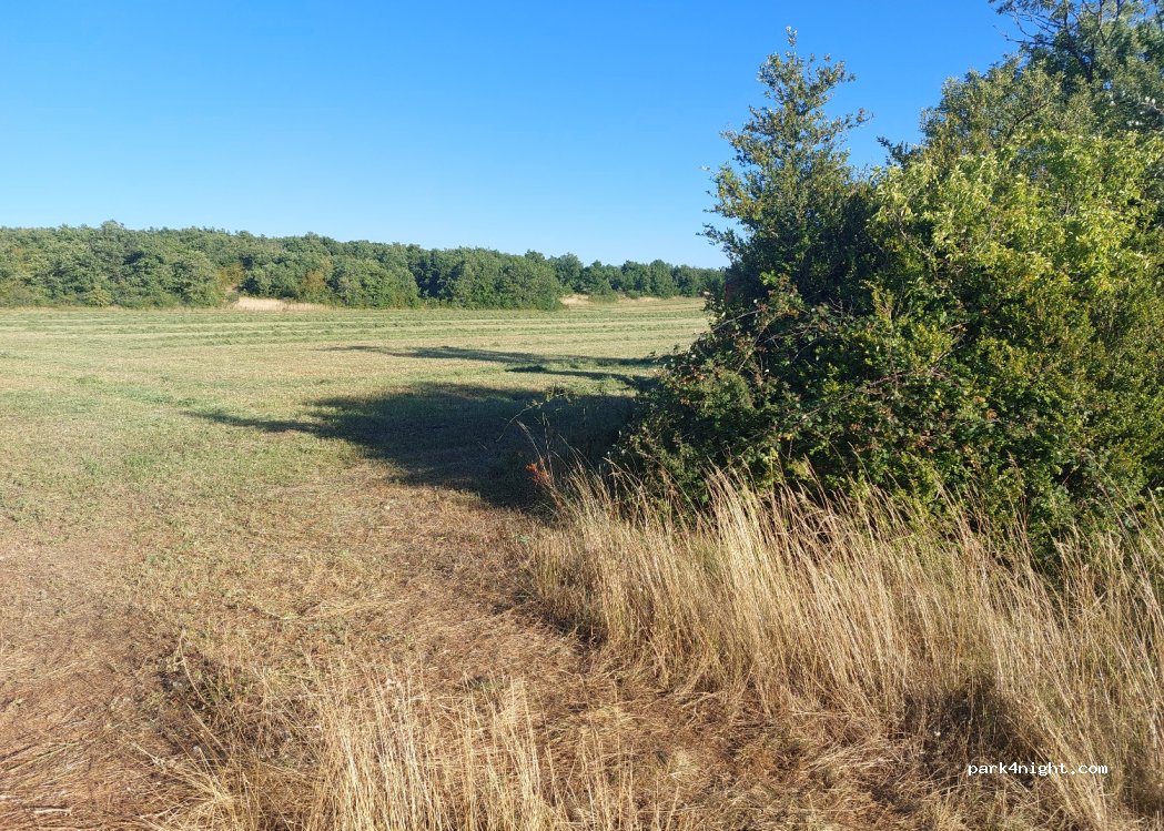(12250) Tournemire - — foto 3