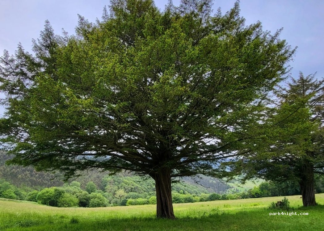 Granja Santa Ana — foto 5