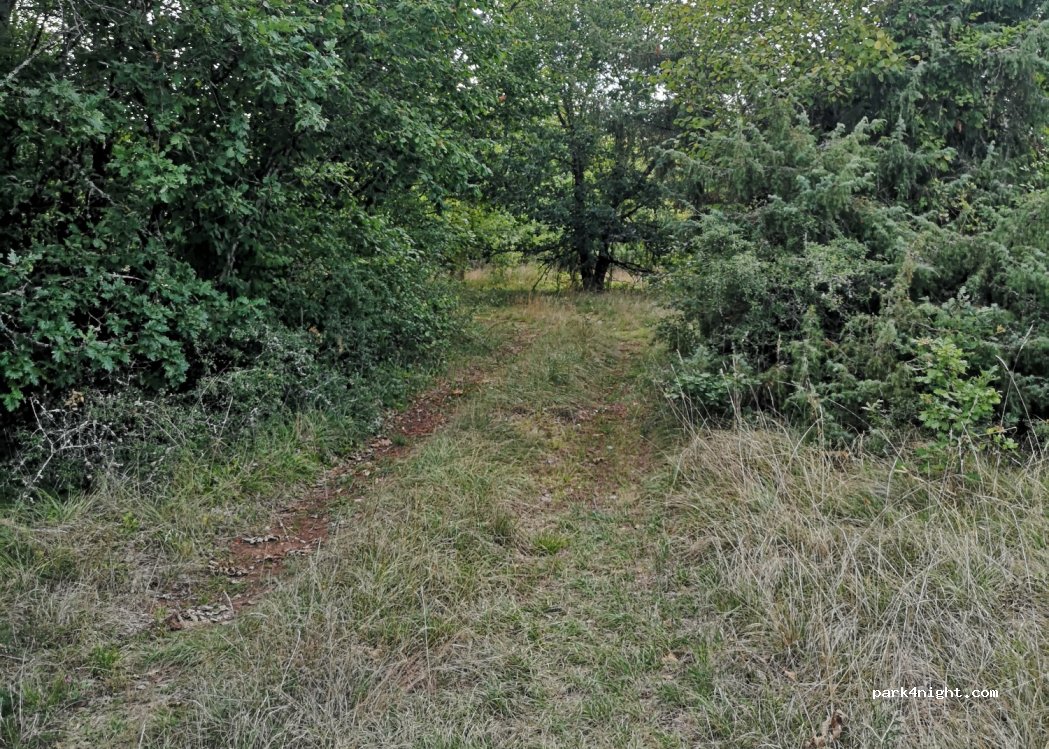(24120) Les Coteaux Périgourdins - — foto 2
