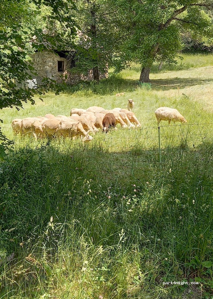 (05200) Crots - D568 — foto 3