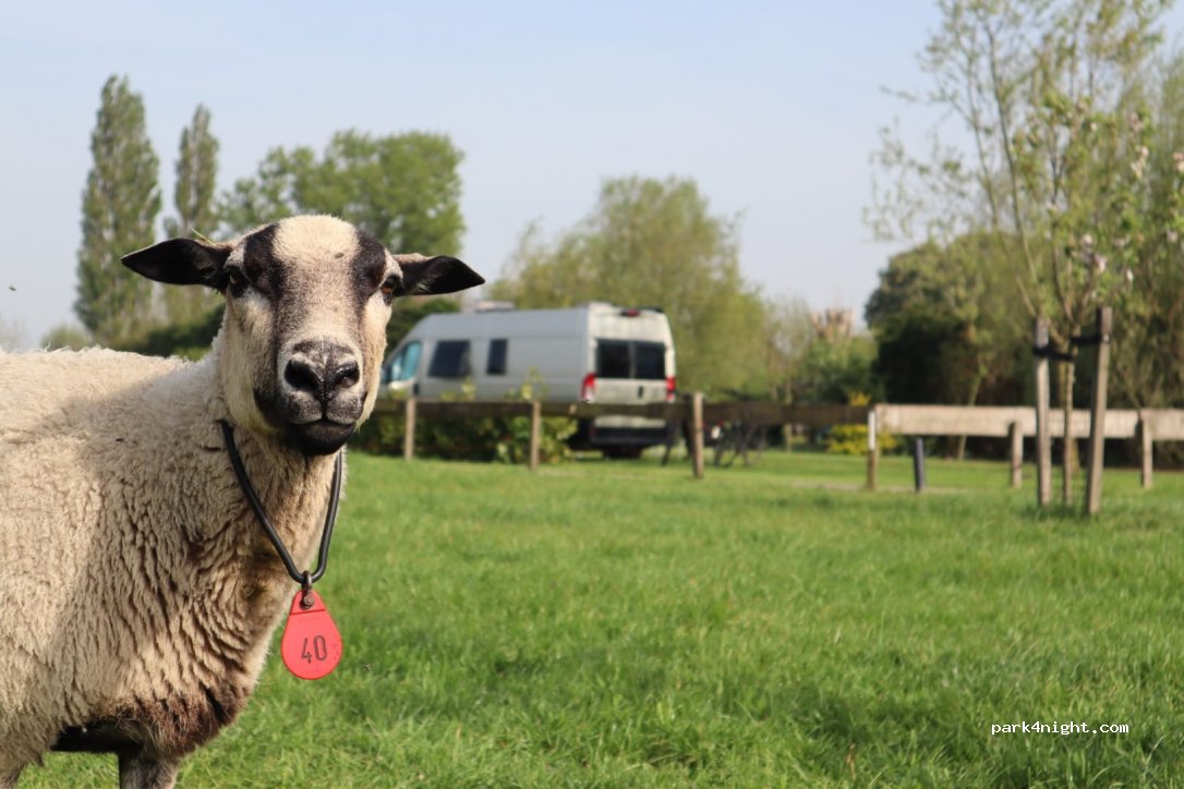 Hoeve Rustdam — foto 5