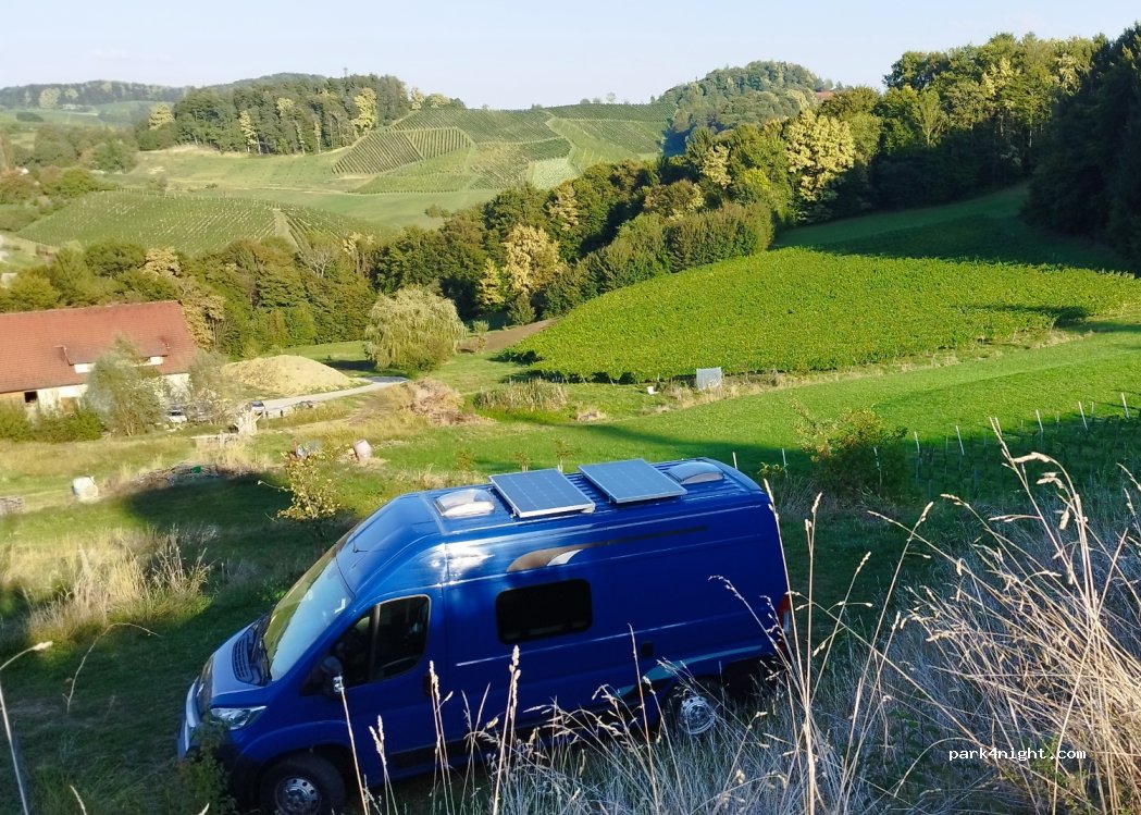 Winež wild culture - vino in kamp; wine and naturecamping — foto 4
